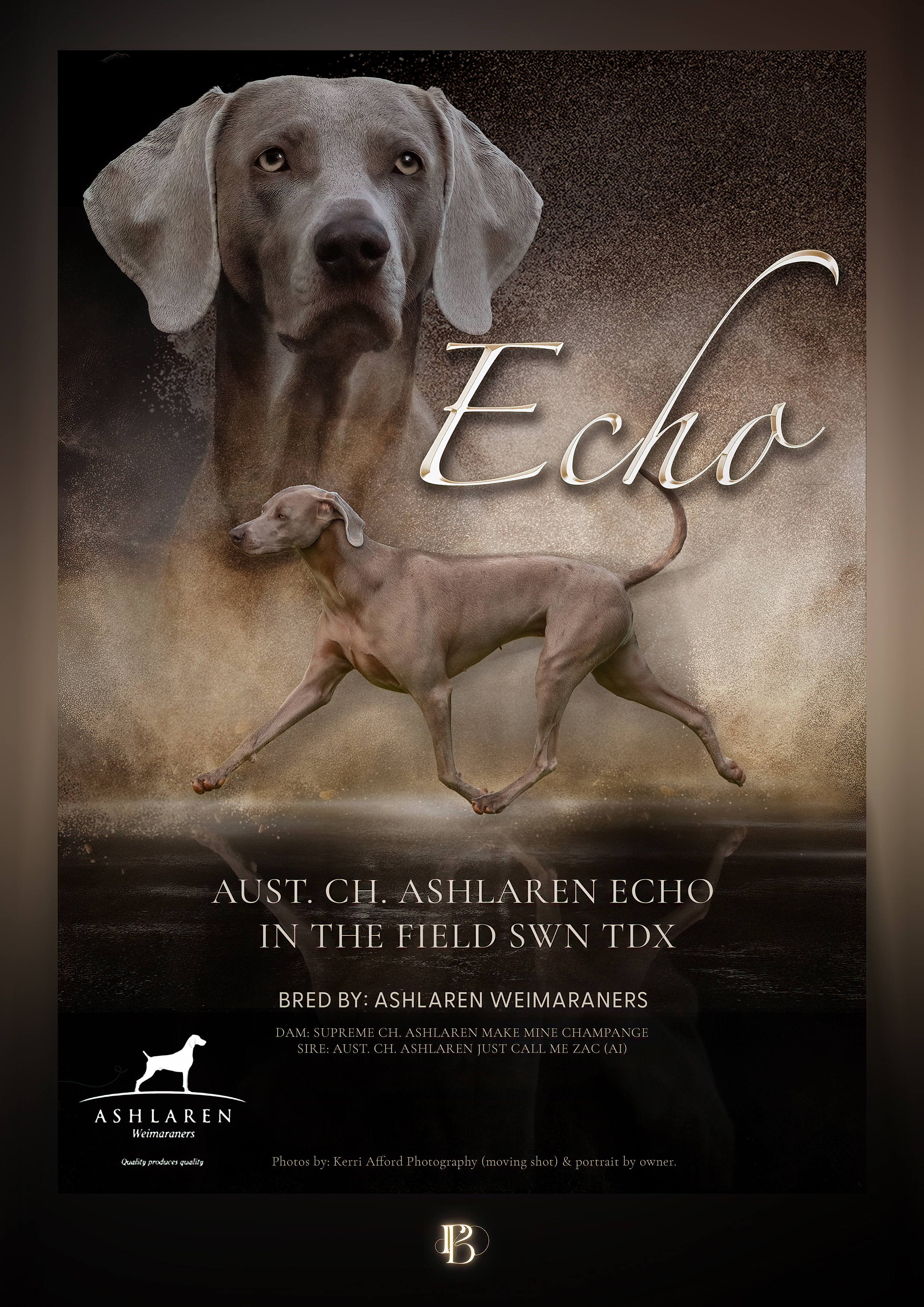 ECHO - ROYAL SHOW ADVERT