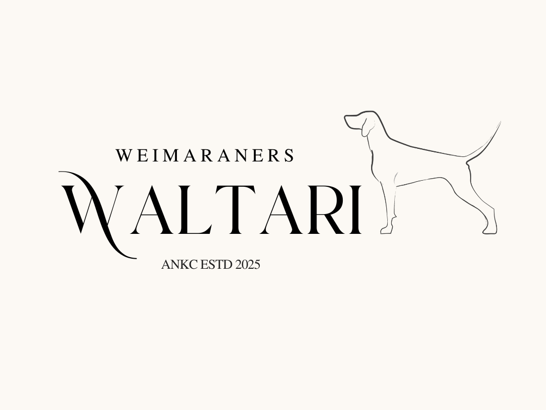 WALTARI LOGO