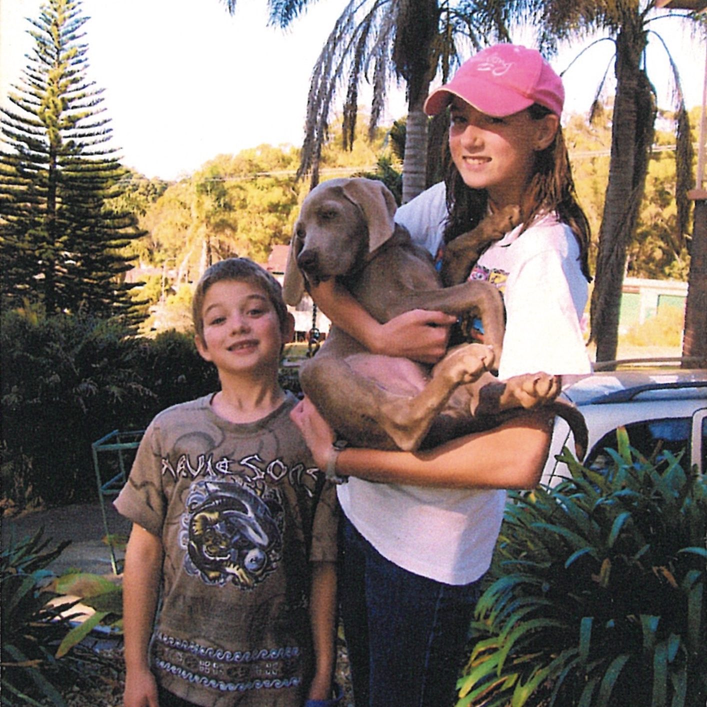 Young kids and Weim puppy